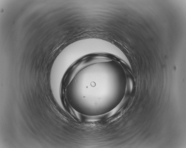 X0000087420572200704201429