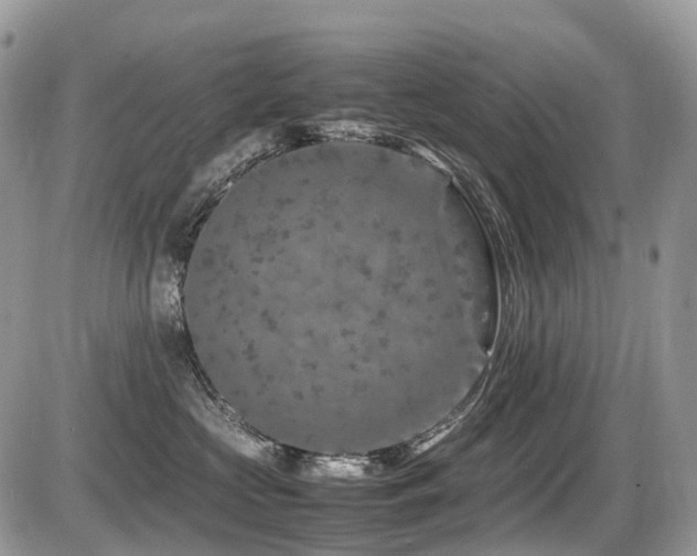 X0000087420573200704201429