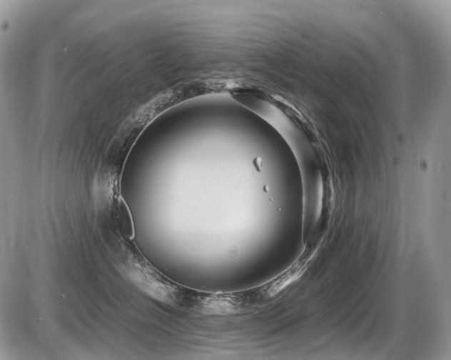 X0000087420574200704201429