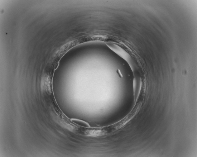 X0000087420575200704201429