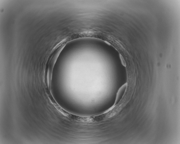 X0000087420576200704201429