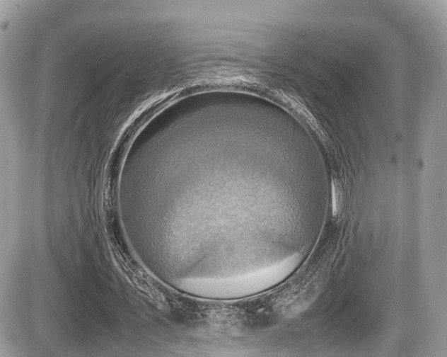 X0000087420579200704201428