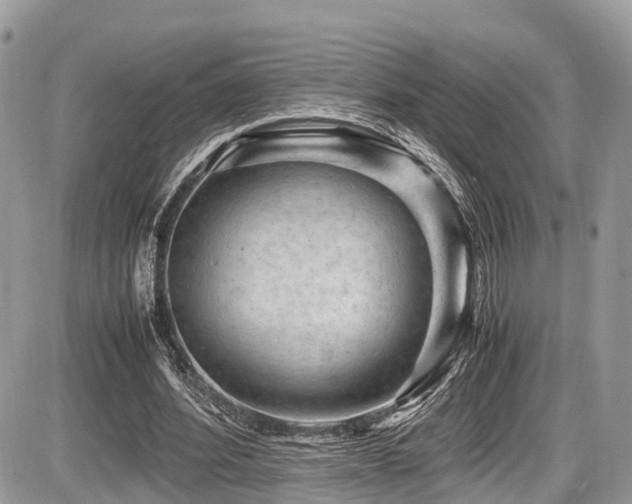 X0000087420580200704201428