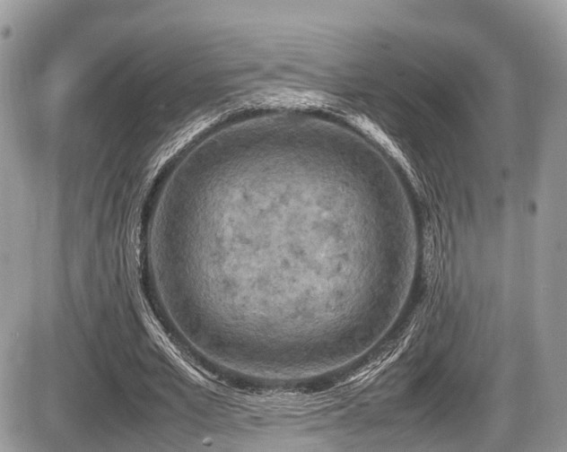 X0000087420581200704201428