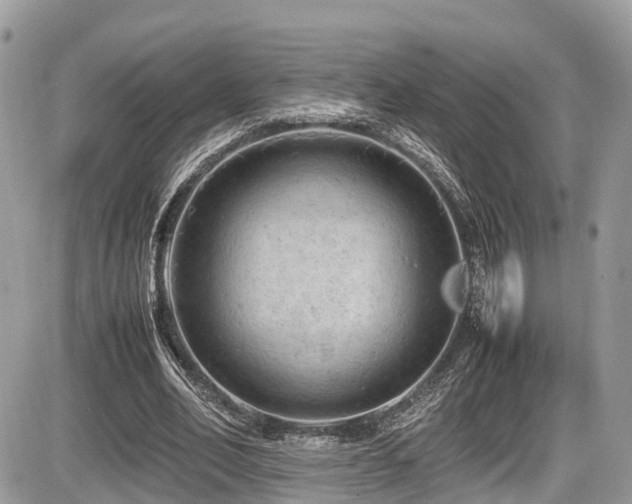 X0000087420582200704201428