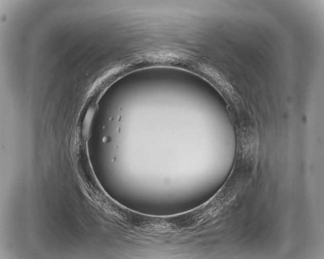 X0000087420583200704201428