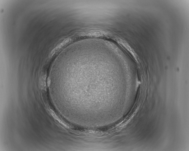 X0000087420585200704201428