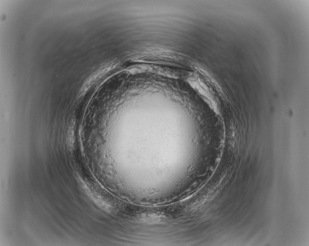 X0000087420586200704201428