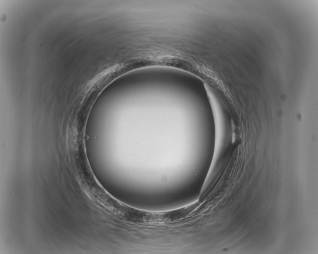 X0000087420587200704201428