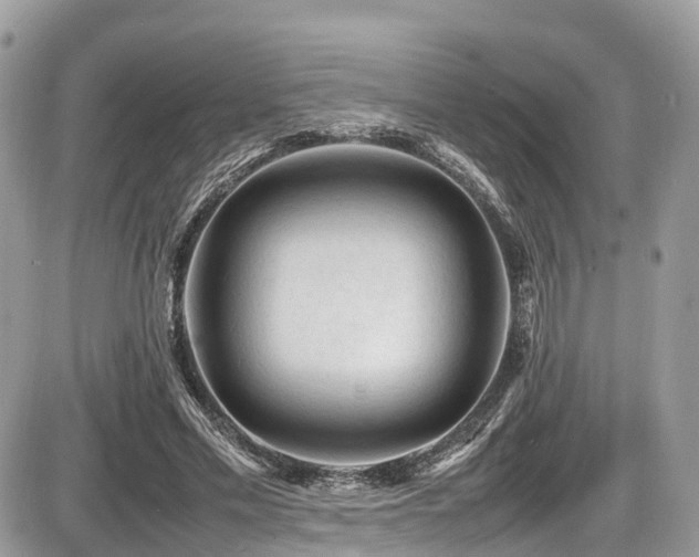 X0000087420589200704201428