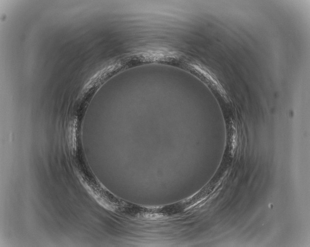 X0000087420590200704201428