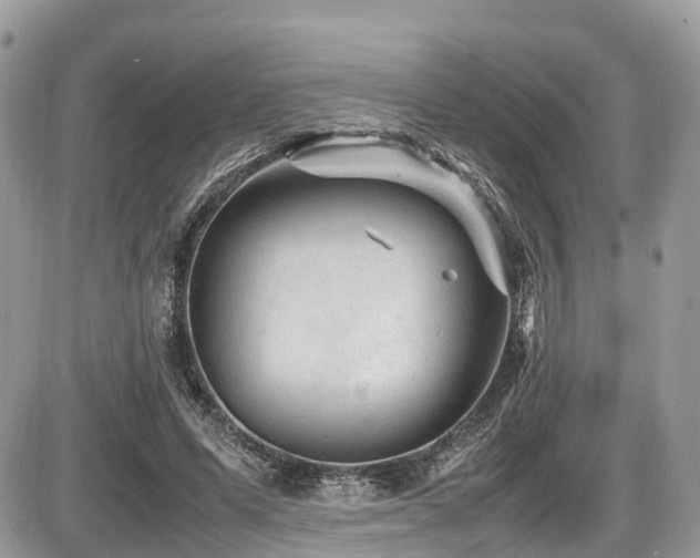 X0000087420591200704201428