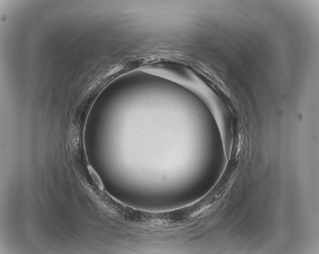 X0000087420593200704201428