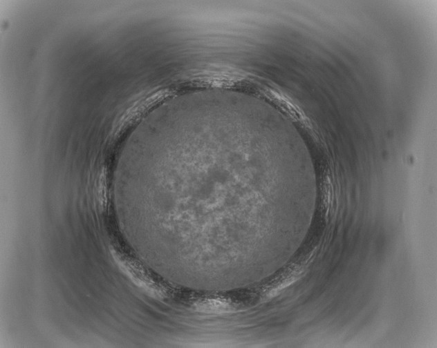 X0000087420594200704201428