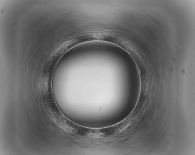 X0000087420595200704201428