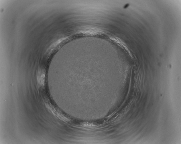 X0000087420596200704201428