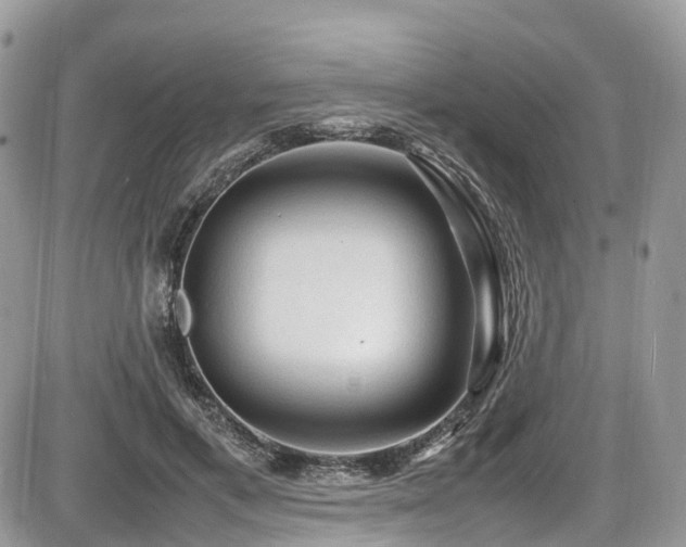 X0000087420597200704201428