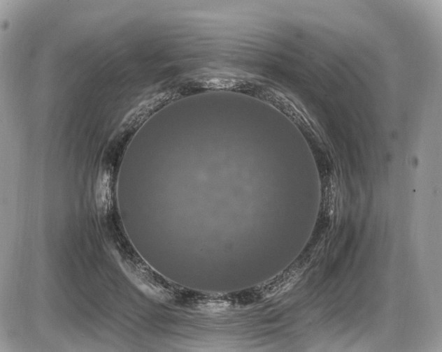 X0000087420598200704201428