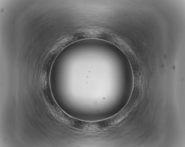 X0000087420599200704201428