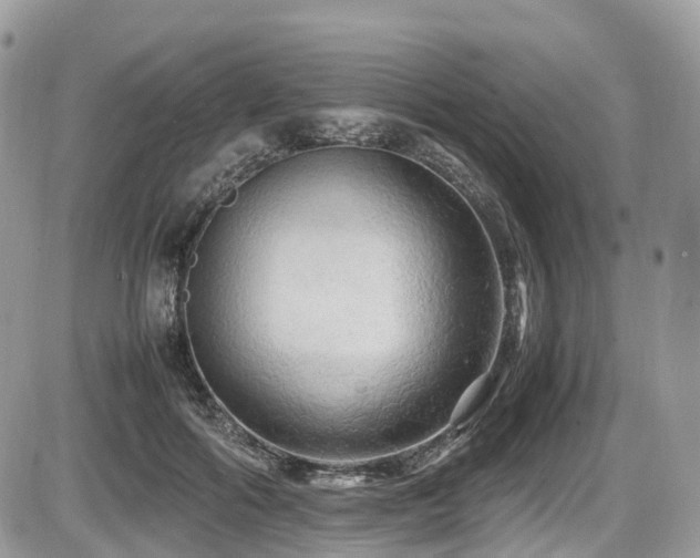 X0000087420602200704201428