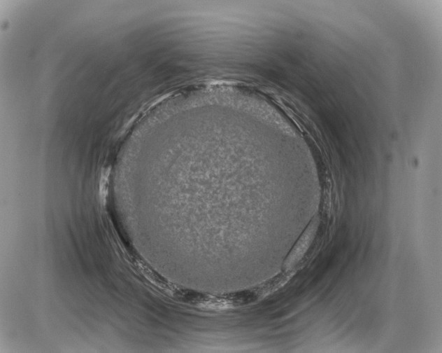 X0000087420604200704201428