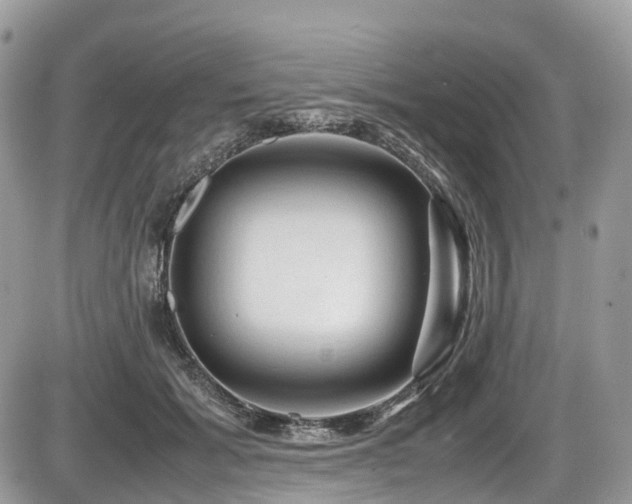 X0000087420605200704201428