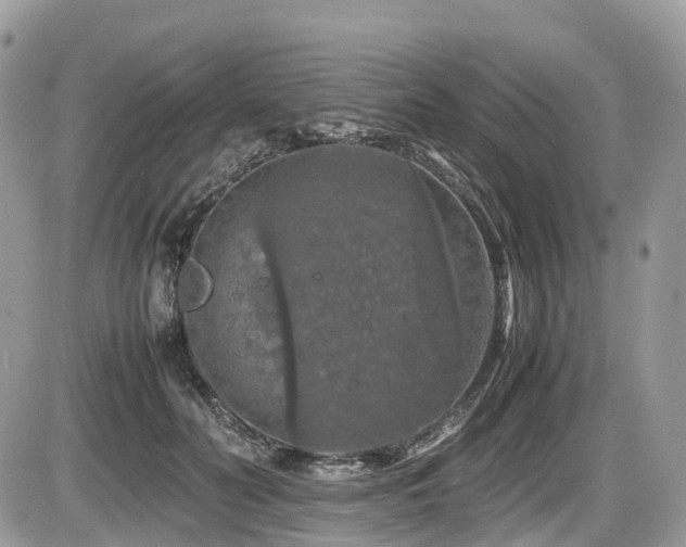 X0000087420606200704201427