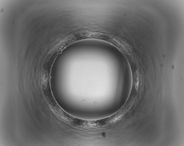 X0000087420607200704201427