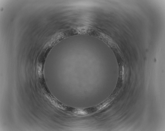 X0000087420610200704201427