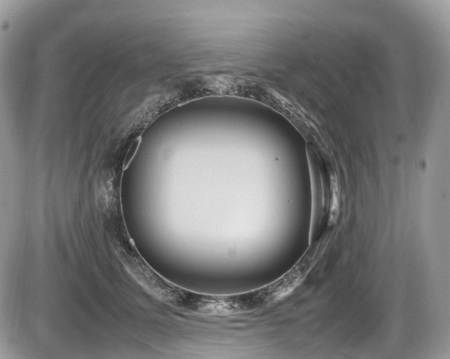 X0000087420611200704201427