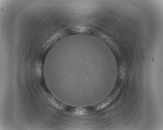 X0000087420612200704201427