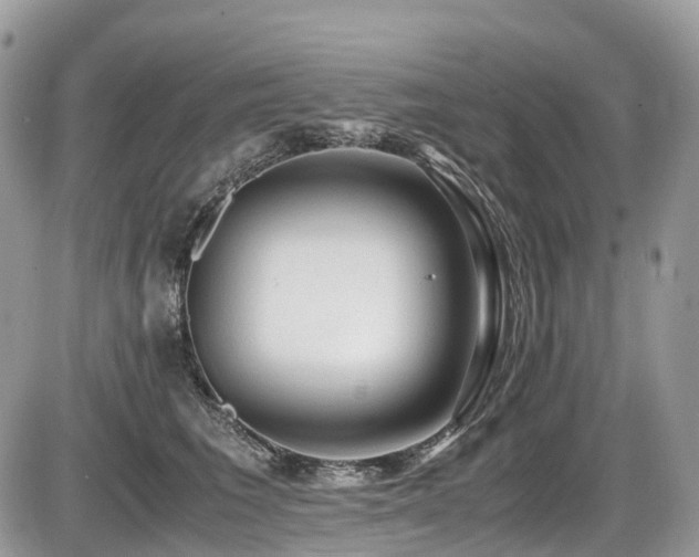 X0000087420613200704201427