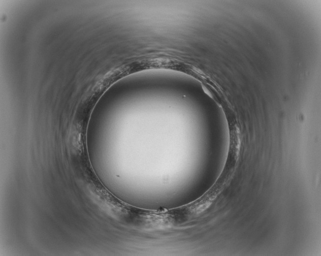 X0000087420615200704201427