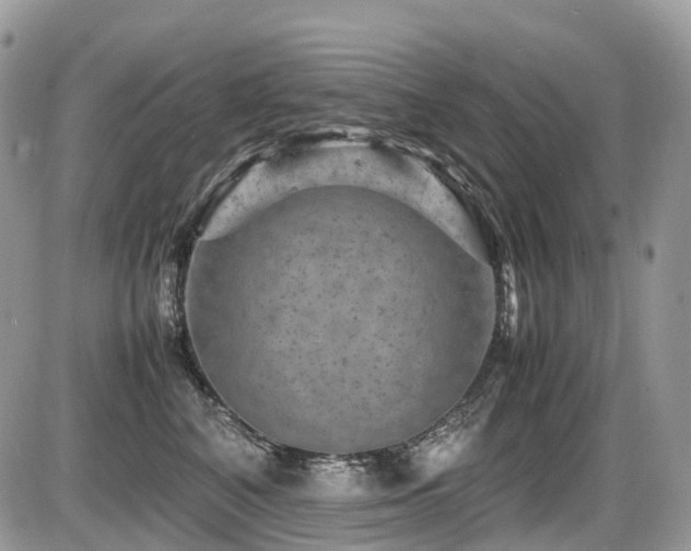 X0000087420616200704201427