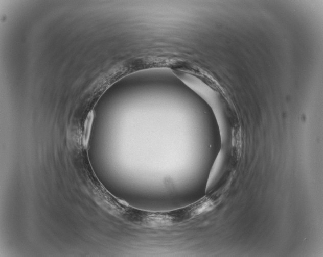 X0000087420617200704201427