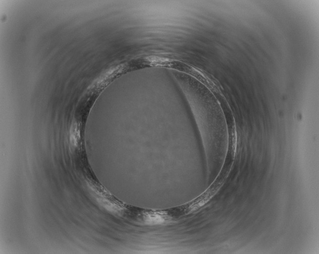 X0000087420618200704201427