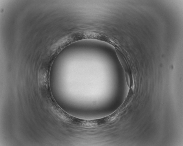 X0000087420619200704201427