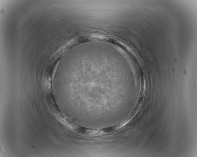 X0000087420621200704201427