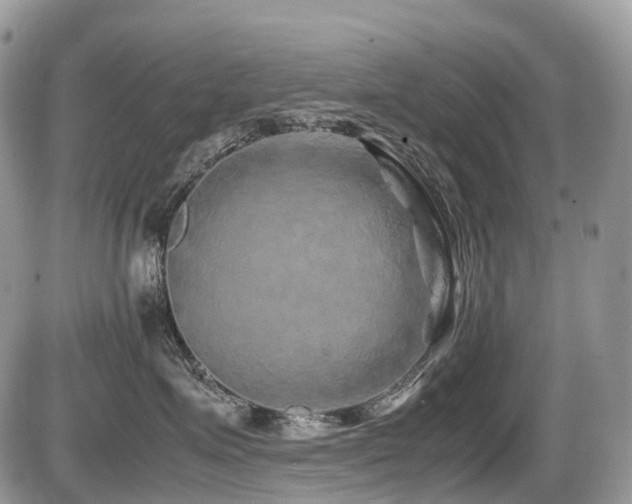 X0000087420623200704201427