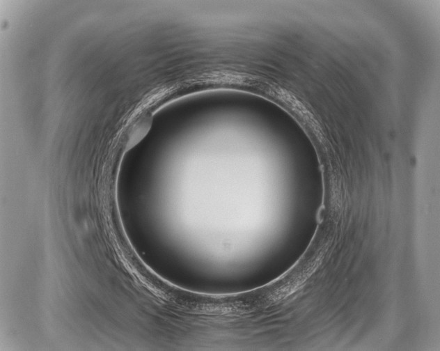 X0000087420625200704201426