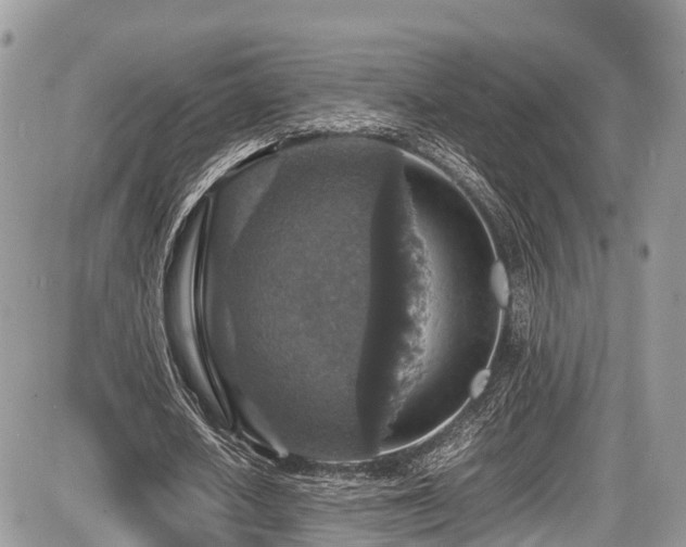 X0000087420626200704201426