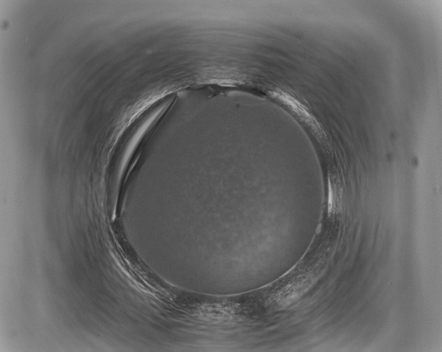 X0000087420627200704201426