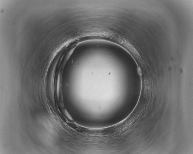 X0000087420628200704201426