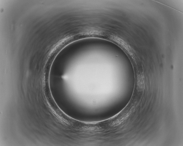 X0000087420629200704201426