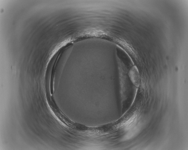 X0000087420630200704201426