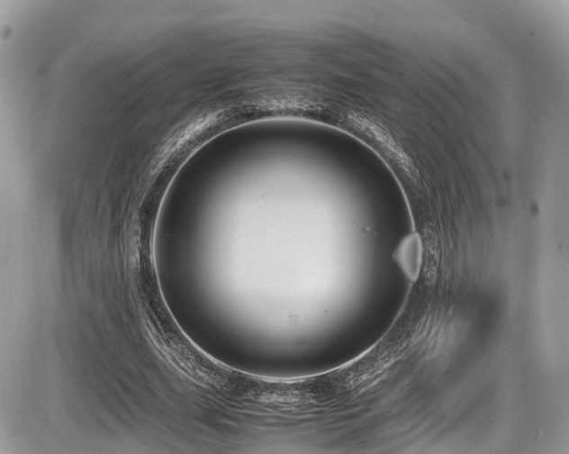 X0000087420631200704201427