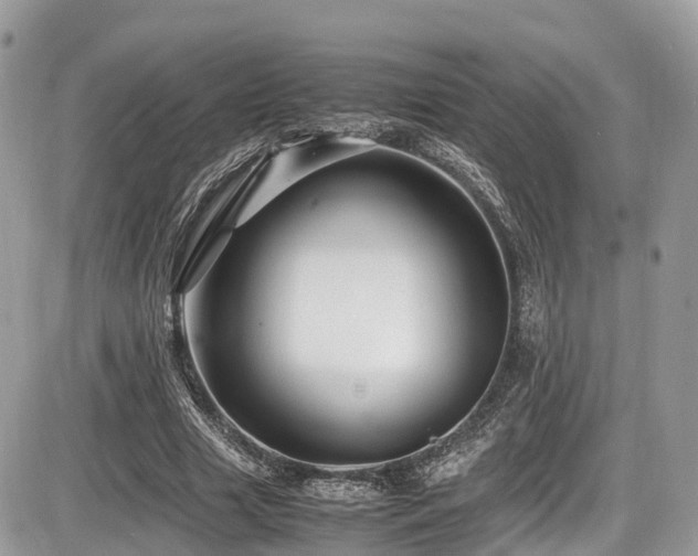 X0000087420633200704201427