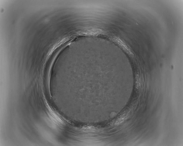 X0000087420634200704201427