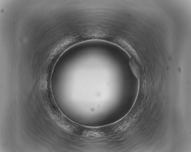 X0000087420635200704201427