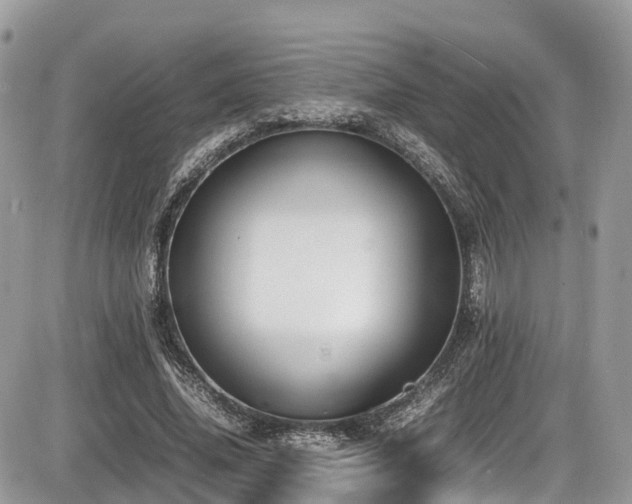 X0000087420636200704201427